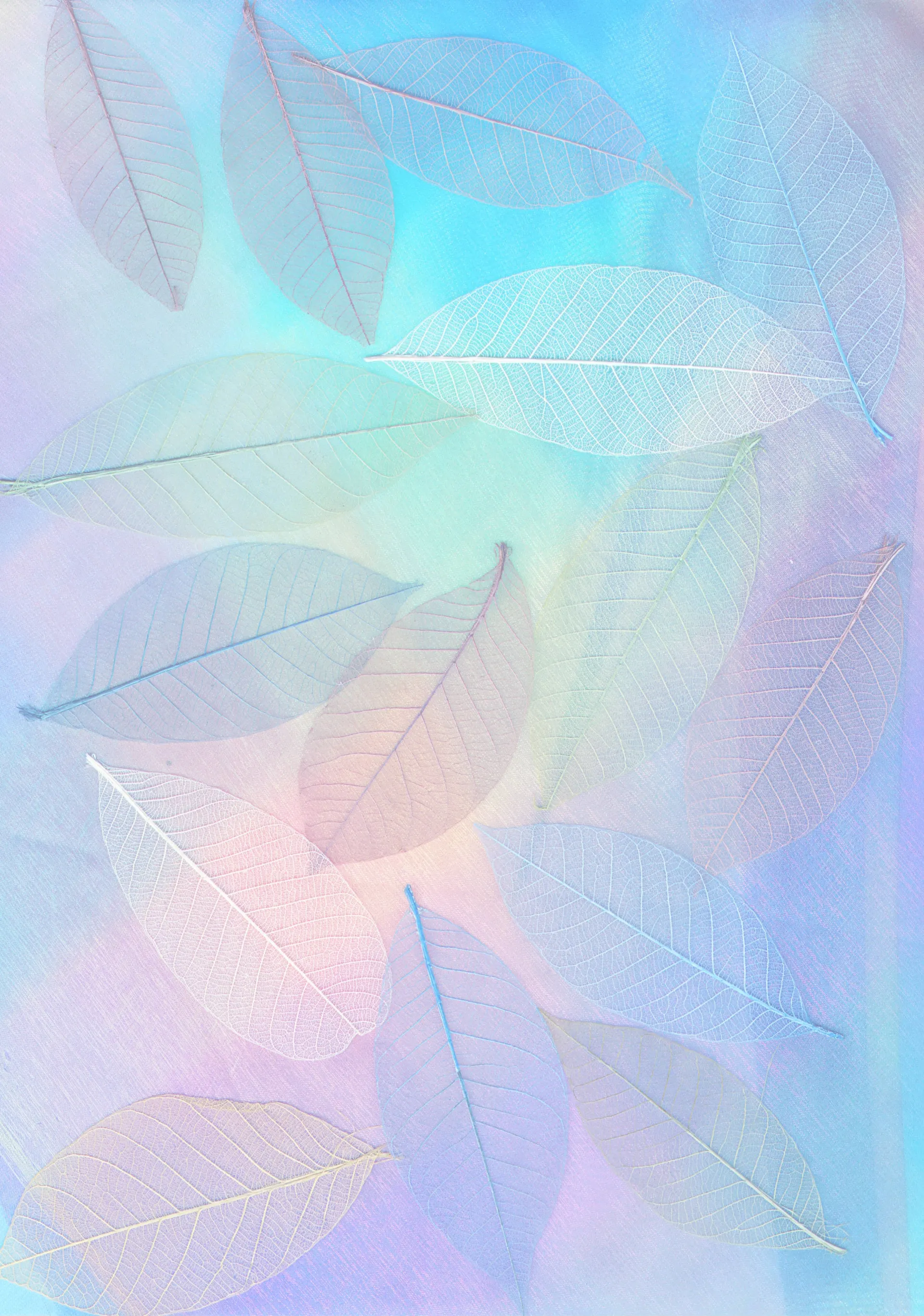 Translucent leaves arranged on a pastel gradient background.