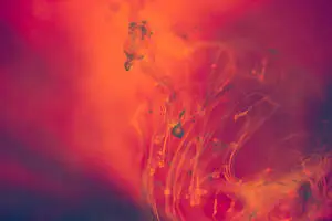 8k Ultra HD Red And Orange Liquid