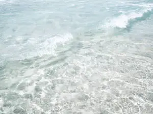 The beautiful, transparent blue waters of the ocean.