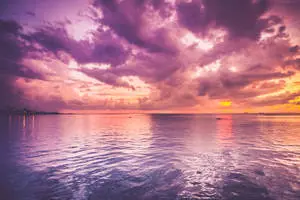 A Purple Dreamscape
