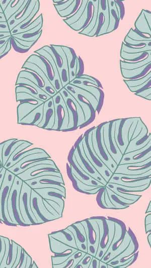 Monstera Leaves Aesthetic Background