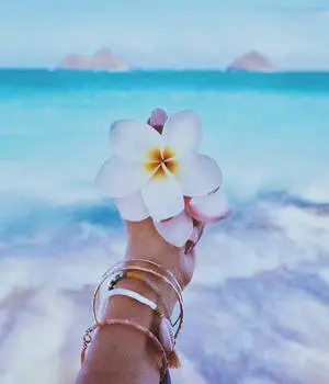 Aesthetic Beach White Flower