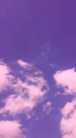 Picture Perfect Day