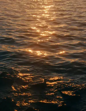 Aesthetic Sea Waves 