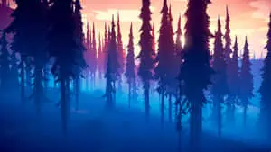 Among Trees Sunset Sky
