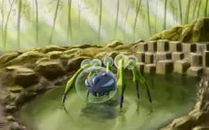 Araquanid In Hot Springs Pool