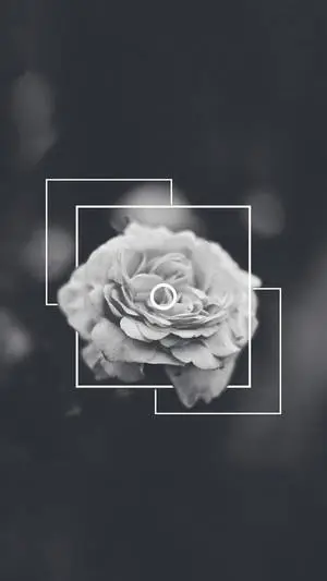 "Beautiful, dark and unrestrained; an aesthetic of contrast"