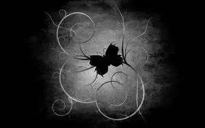 Black Butterfly On Curvy Abstract Lines