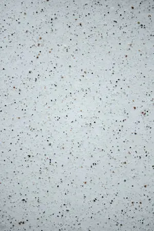 Black Dot iPhone Surface Specks