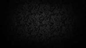 Paisley Pattern Black Texture Background