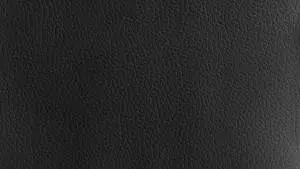 Black Texture Leather Close-Up