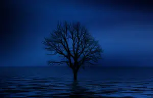 Blue 4K Lonely Tree