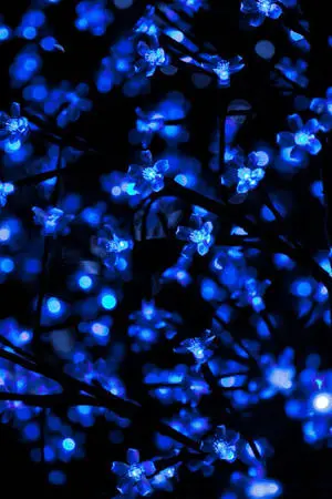 A stunning view of glowing sakura against a beautiful blue aesthetic.