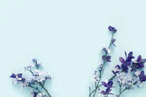 Blue Purple Flowers Aesthetic