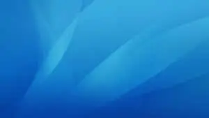 Picturing Serenity with a Blue Zoom Background