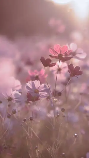 Blumen Floral Themed