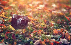 Camera Vintage Aesthetic PC