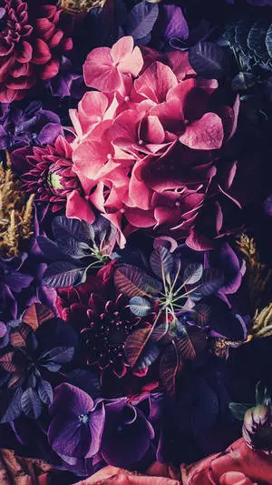  Caption: Nostalgic Charm of a Vintage Floral iPhone Case 