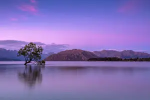 Captivating Dusk Over Tranquil Plains