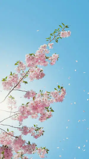 Cherry Blossoms Flower Mobile