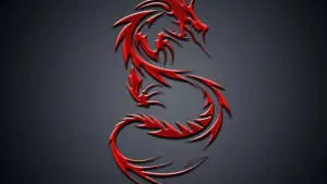 Chinese Gray Red Dragon