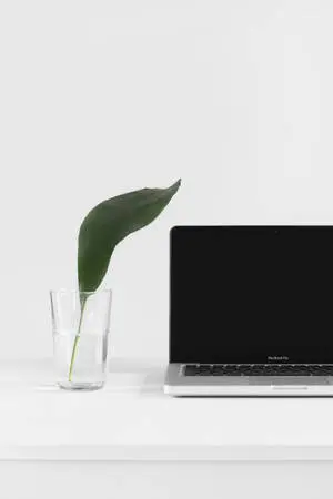 Sleek Minimalist MacBook Pro Setup