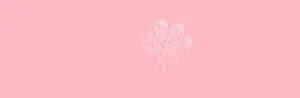 Color Pink With Line Art Roses Twitter Header
