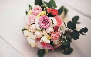 Colorful Bouquet Beautiful Flower 