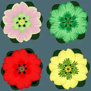 Colorful Floral Quartet