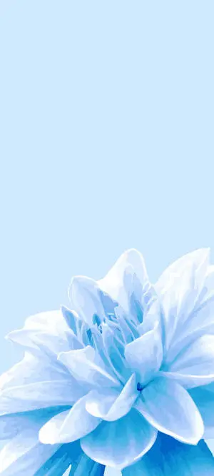 Vibrant 3D Flower Design on a Cute Blue Phone