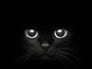 Cute Cat Face Black Mac