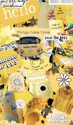 Cute VSCO Sunflower Aesthetic
