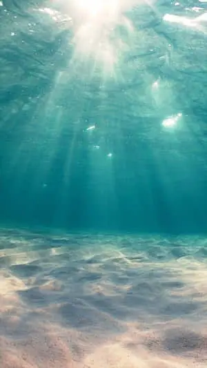 Underwater Cyan Aesthetic