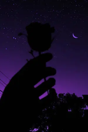 Dark Aesthetic Purple Sky