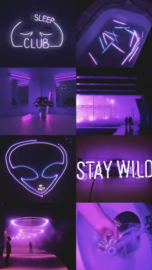Explore the striking beauty of a dark neon purple aesthetic. 
