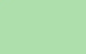 Dull Super Light Green Desktop