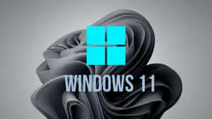 Eligible Windows 11 Black Background Design 