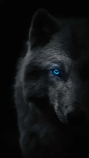 Blue-Eyed Epic Wolves