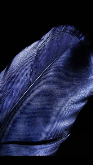 Feather 4K Ultra HD Dark Phone
