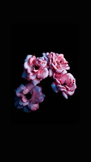 Four Dark HD Flowers Phone