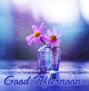 Good Afternoon Pink Flowers Picture