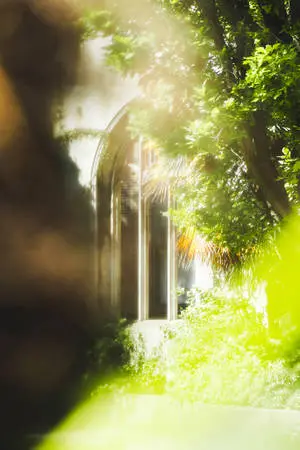 A glimpse of beauty, a peek of nature's creation.