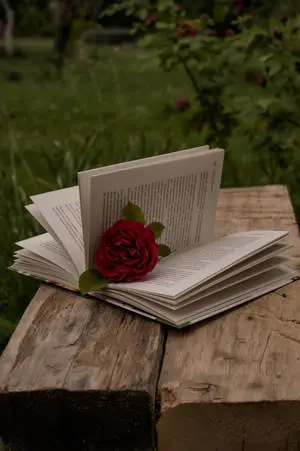 Reveal the beauty within: An open book with a rose sits on a green aesthetic background. 
