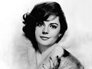 Hollywood Celebrity Natalie Wood