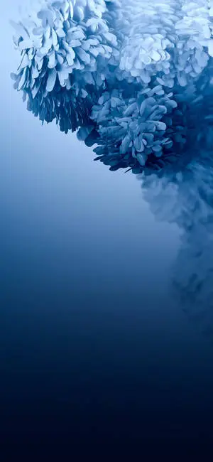 Impressive Illustration for Samsung S20 Ultra