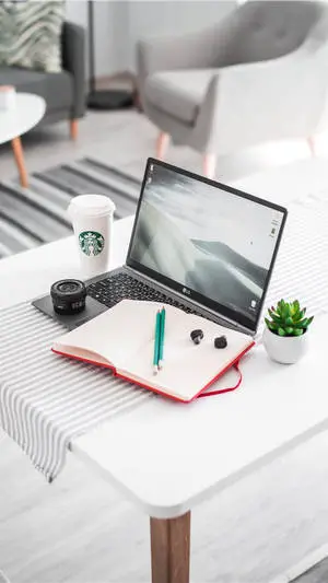 iPhone Desk With Succulent
