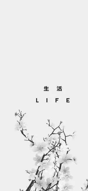 Japanese Aesthetic iPhone Life Quote