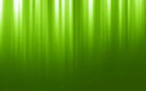 Light Green Shining Down