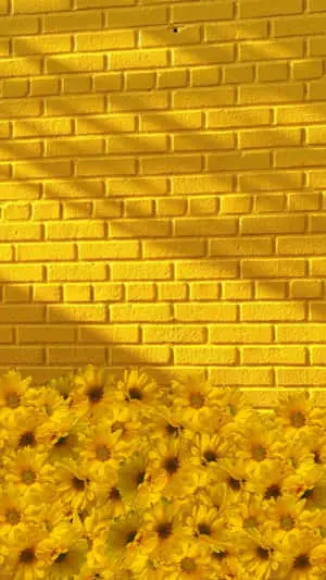 Corner Of Light Yellow