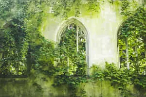 Lime Green Aesthetic Old Arc